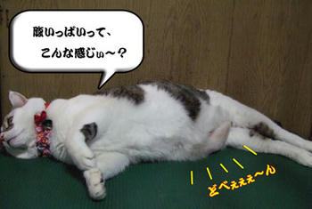 Σ(￣ε￣;|||･･･