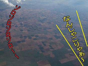 なんじゃこりゃ?