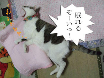 そんだけ大アクビできたら、気持ちいいだろうねぇ～