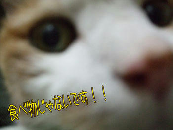 分かりましたよ~(笑)