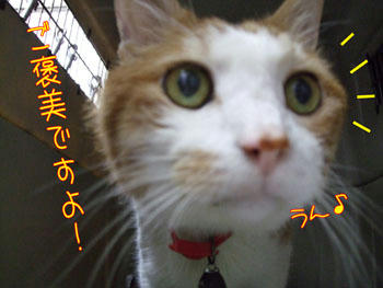 そうなのか～～？（笑）
