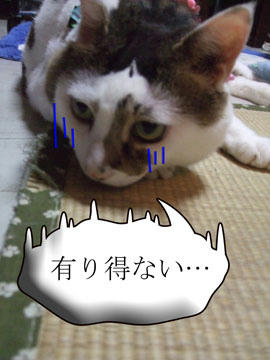 ………