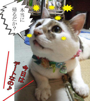 苦肉の言い訳（笑）