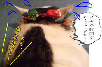 お耳がへこたれてますよ～