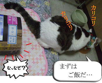(-ω-;)ｳｰﾝ いきなりそっち？