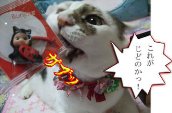 ヾ(｡｀Д´｡)ﾉ彡☆ﾌﾞｰﾌﾞｰｯ!!