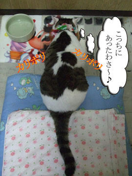 やっぱ、そこかい。。((ﾐ￣ｴ￣ﾐ)) 
