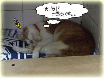 でも、ありちゃんより年上だよ(笑)