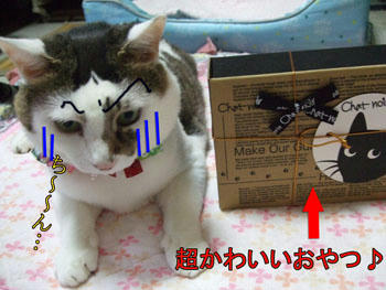(^--^#)ムムッ?