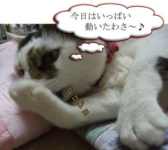 あ、あれで？