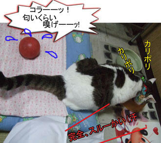 いきなり、そっちかい？（汗