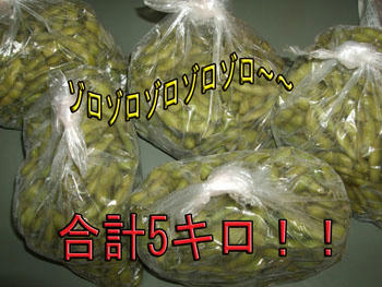 わわっ、大量だッ!