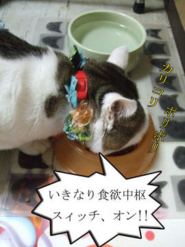 ﾌｰ　(￣‥￣)　=　＝3、いつもの事だわね～