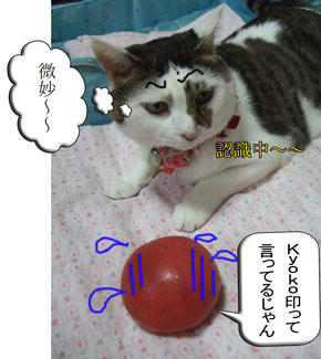 な、何を認定？