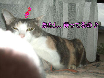 誰を待ってるの?