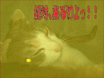 どーだかね~