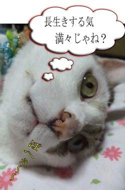 ヾ(ﾞεﾞ*)ヾ(*ﾞεﾞ*)ヾ(*ﾞεﾞ)ﾉﾊｲ ﾊｲ ﾊｲ!