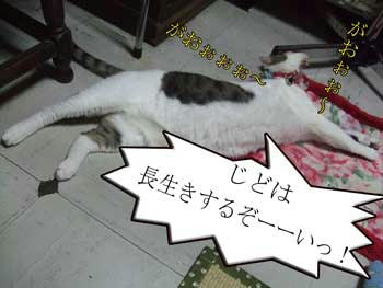 (：￣Д￣)/(：￣Д￣)/(；￣Д￣)/ﾎｲ♪ｯﾃｶ