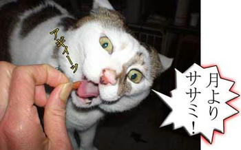 やっぱ、そっちかいっ!