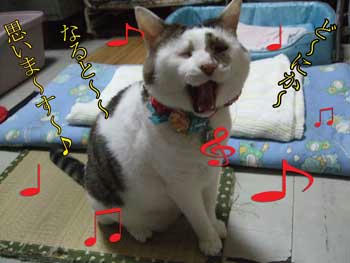 おちゃらけじどに歌われてもね~(笑)