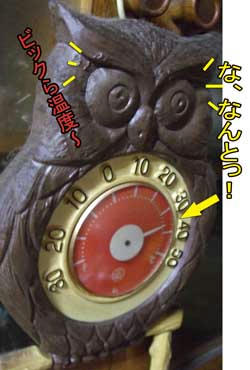 (ﾉ￣□￣)ﾉｵｵｵｫｫｫｫ!ミ((ﾉ＿ω＿)ﾉﾊﾞﾀ