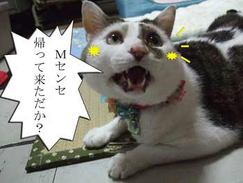 帰ってきたよ～♪
