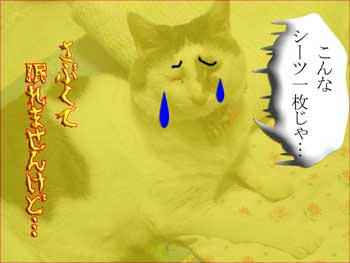 昨日まではひっくり返ってたのに～～