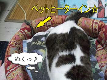 暑がりチームから非難轟々(￣▽￣;)!!