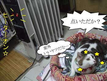 点いてるぅ～