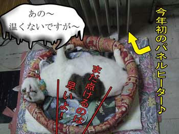 まだ点いてないもんね～