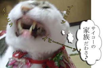 こらっ!そこで笑うなっ!!