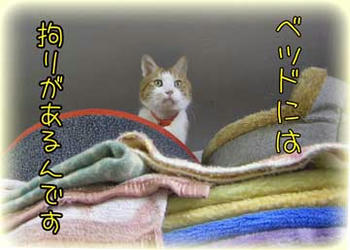 タンタンは拘り満載だったもんね～（笑）