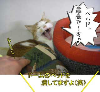 よく、使い方を間違えていたっけ(笑)