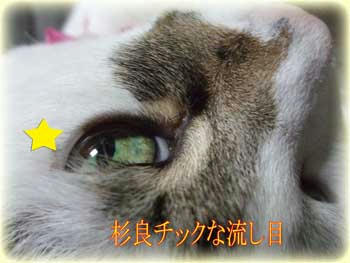 何か勘違いしてないかい?