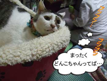 ブツブツ言いながらも”ちゃん付け”(笑)いいやっちゃのぅ~