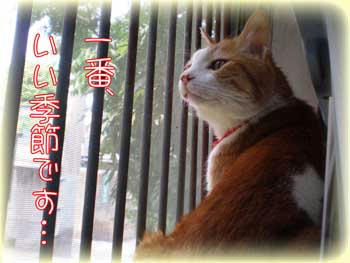 心地いい空気だもんね