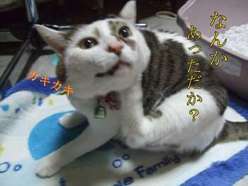 あらまぁ~、リラックスしてるわね～