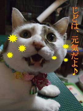 よかったわさ♪