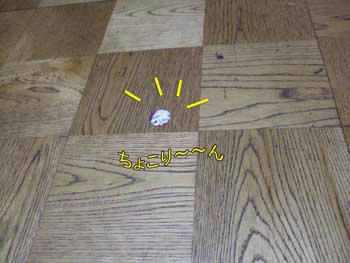 ??(･_･*)(*･_･)(*~^~)/??