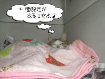 密かにね♪