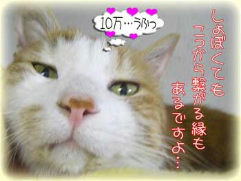 凄いね、嬉しいね。。