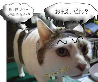 ♂か♀かぁ～？♀に決まってるだろ～が～(￣‥￣)=3 ﾌﾝ