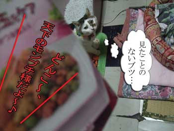 何よ、その疑いの目は！