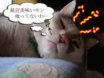 そら、切ないわね。食欲の秋なのに…
