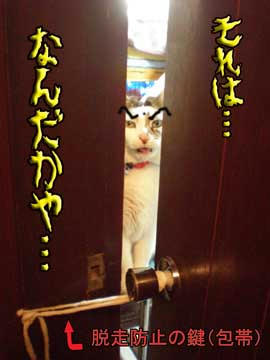 わわっ！またしても「眉毛」が前面！！（何とかしろ～、りっこ～汗）