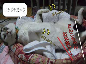 相変わらず怠惰だわね～