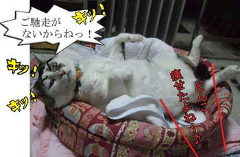 そんな目で見なくっても（汗