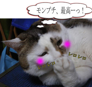 頑張ったご褒美だわさ～♪