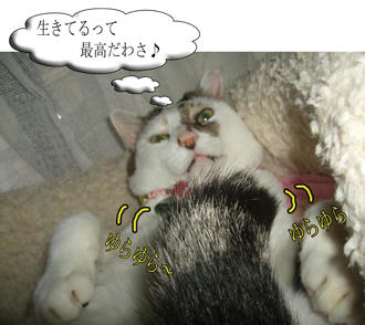 あ、そ~Σ( ̄ε ̄;|||・・・