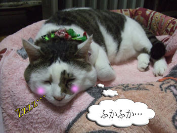 良かったのぅ～